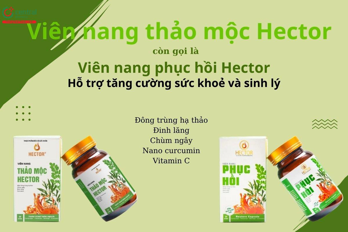 Viên nang thảo mộc Hector