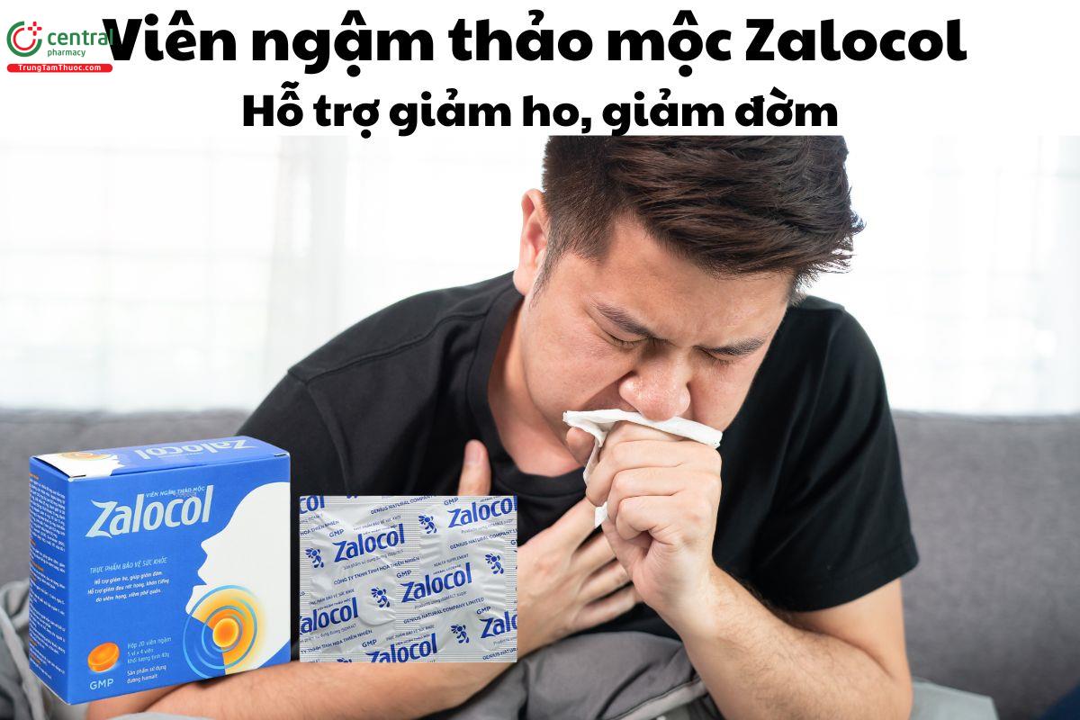 Viên Ngậm Thảo Mộc Zalocol - Giúp giảm ho, giảm đờm, khàn tiếng