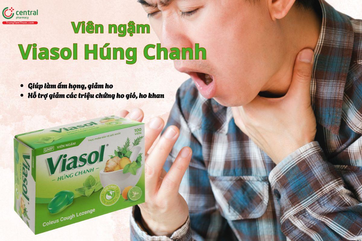 Viên ngậm Viasol Húng Chanh giúp giảm ho gió, ho khan