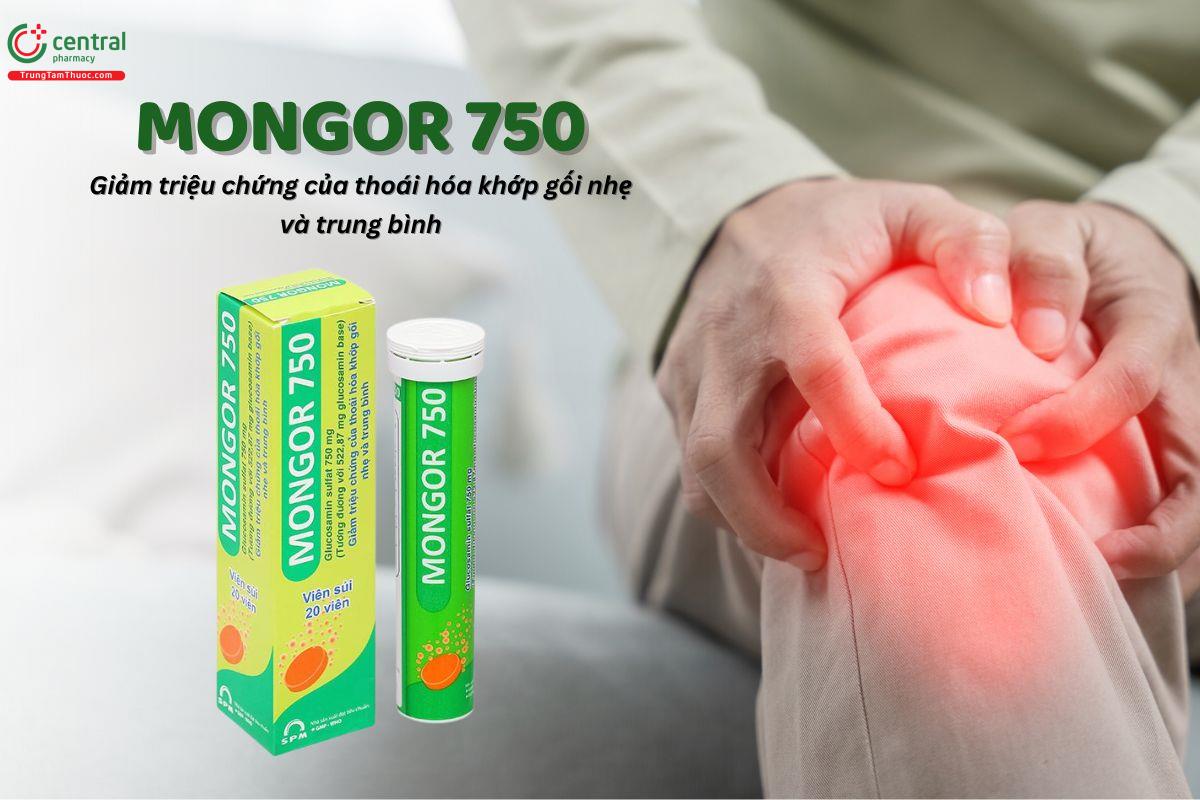 Thuốc Mongor 750 giảm các triệu chứng của thoái hóa khớp gối 