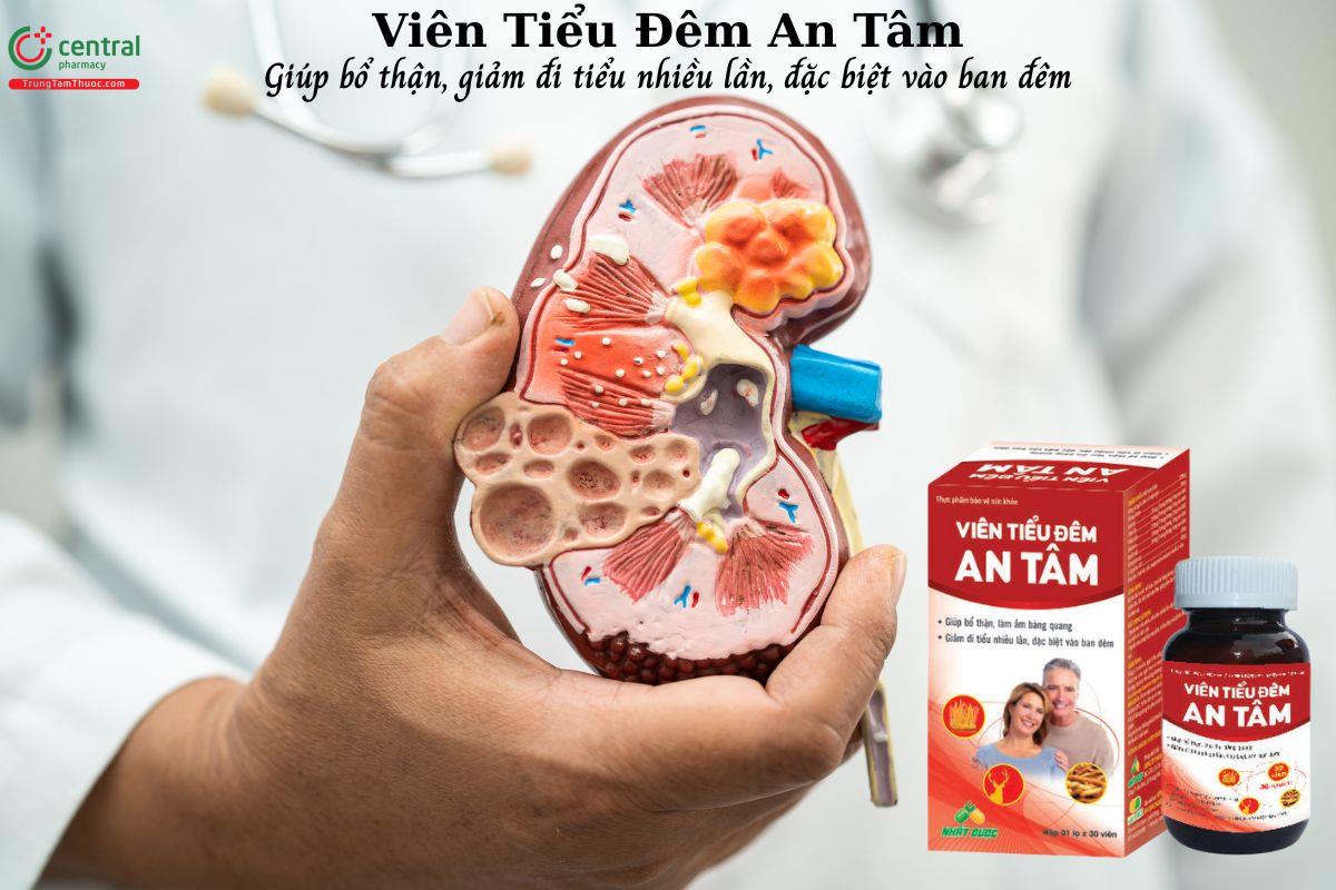 Viên Tiểu Đêm An Tâm - Hỗ trợ bổ thận, giảm các triệu chứng tiểu nhiều lần, tiểu đêm