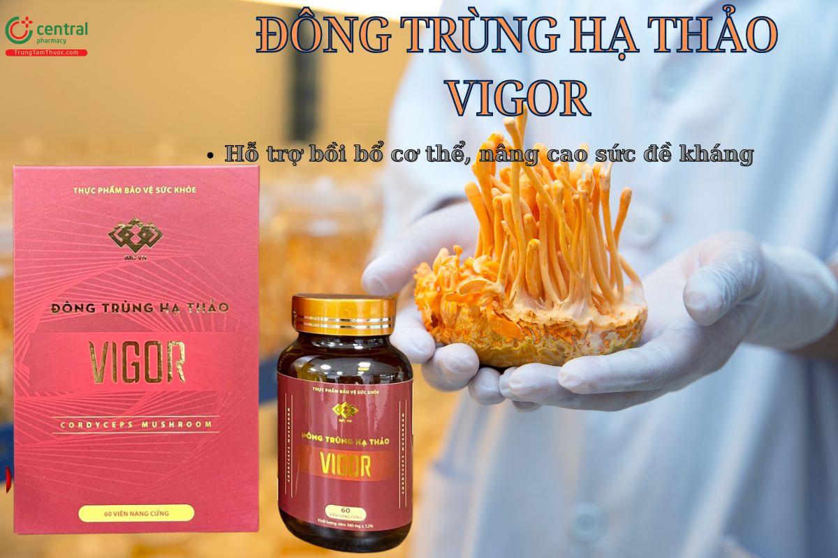 Viên uống Đông Trùng Hạ Thảo Vigor giúp bồi bổ cơ thể