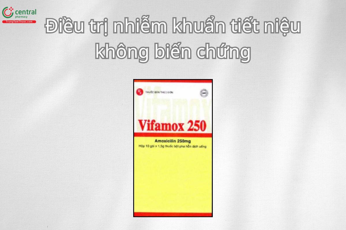 Thuốc Vifamox 250 điều trị nhiễm khuẩn hô hấp, nhiễm khuẩn tiết niệu