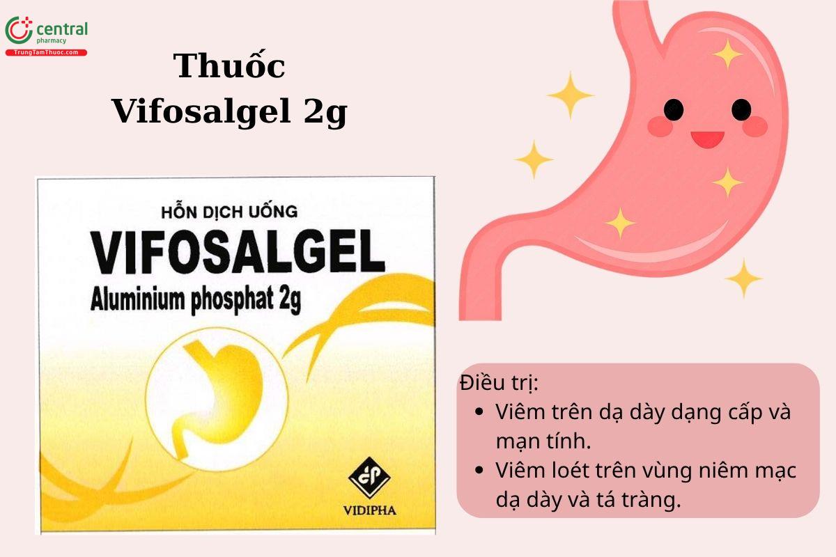 Chỉ định của thuốc Vifosalgel 2g