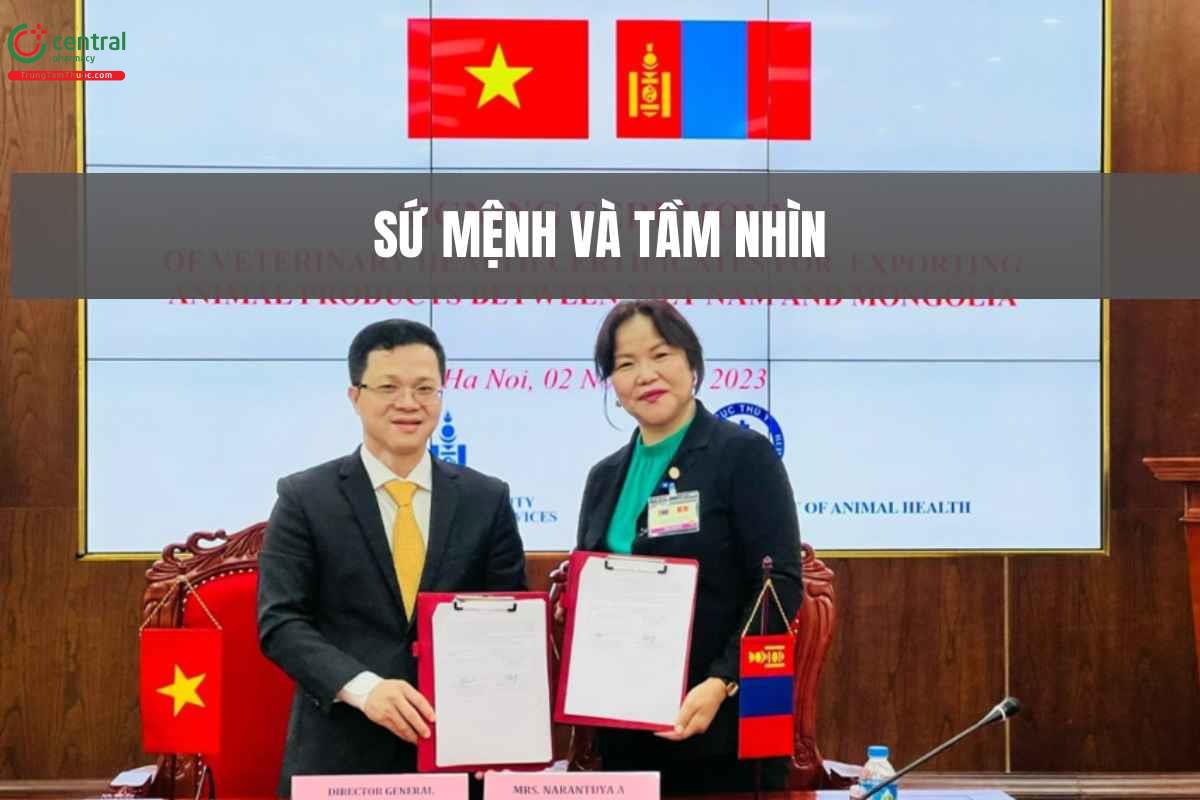 Tầm nhìn và sứ mệnh của công ty