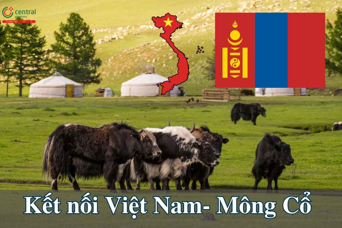 Giới thiệu công ty VIMOS