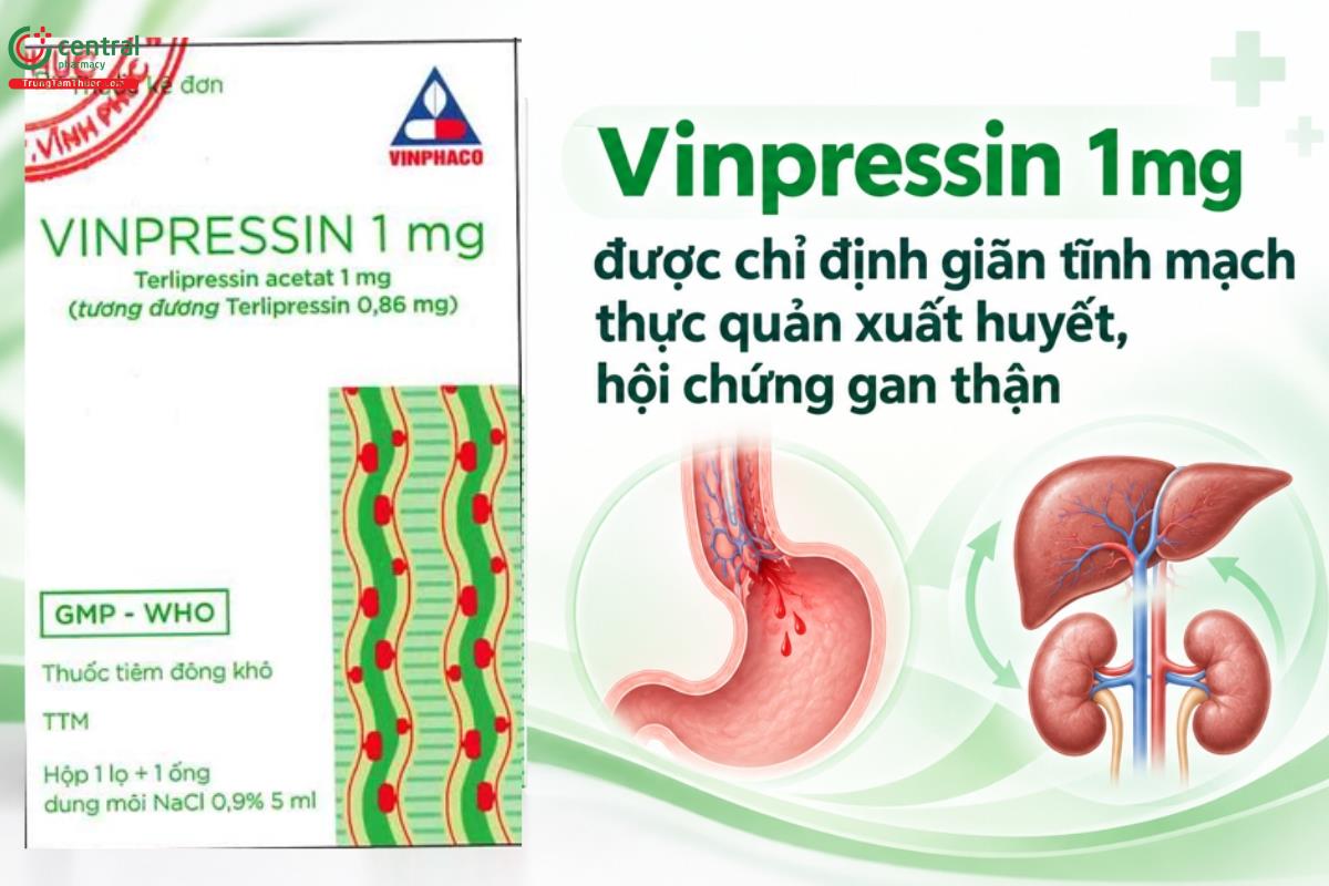 Thuốc Vinpressin 1mg được chỉ định giãn tĩnh mạch thực quản xuất huyết, hội chứng gan thận
