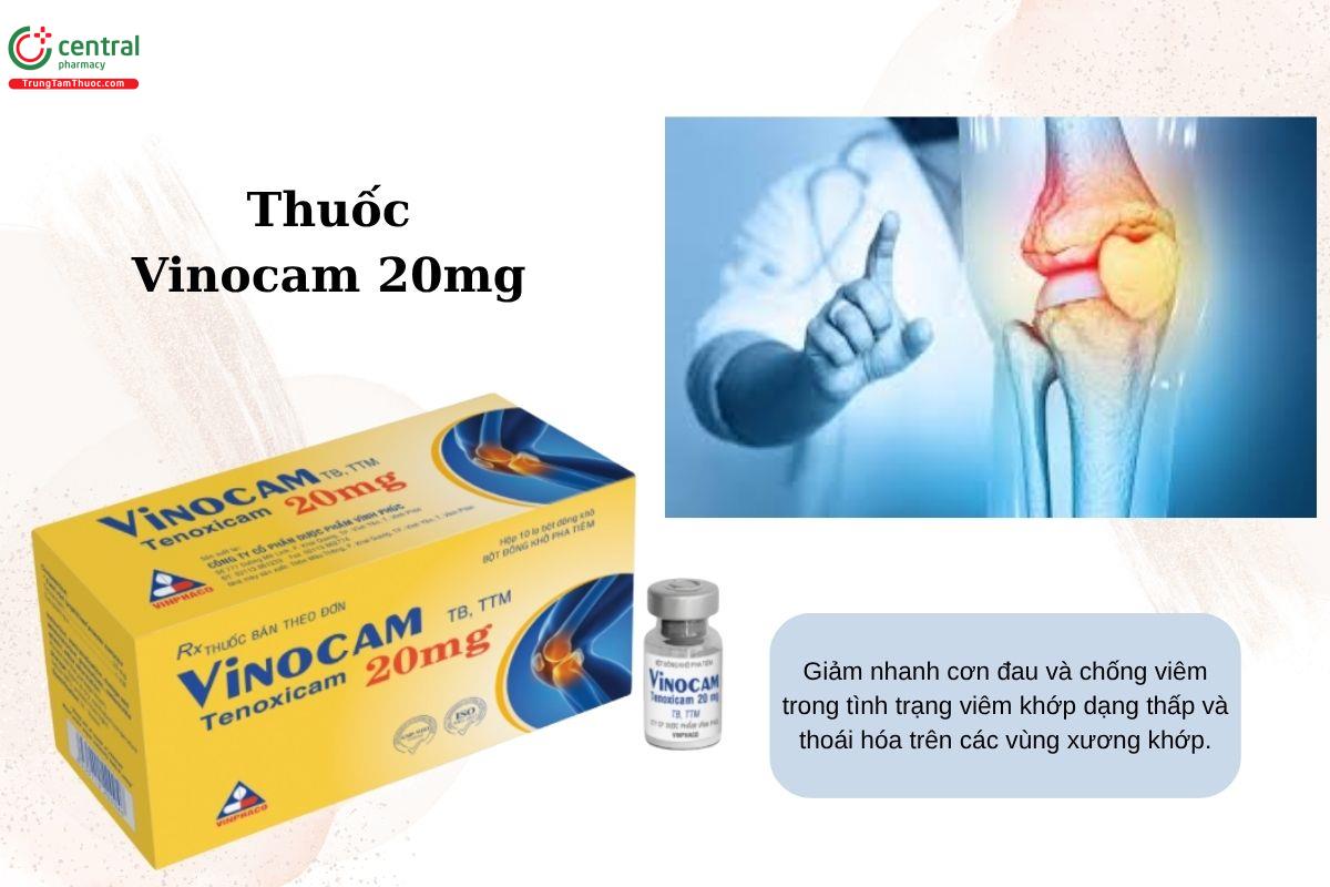 Chỉ định của thuốc Vinocam 20mg