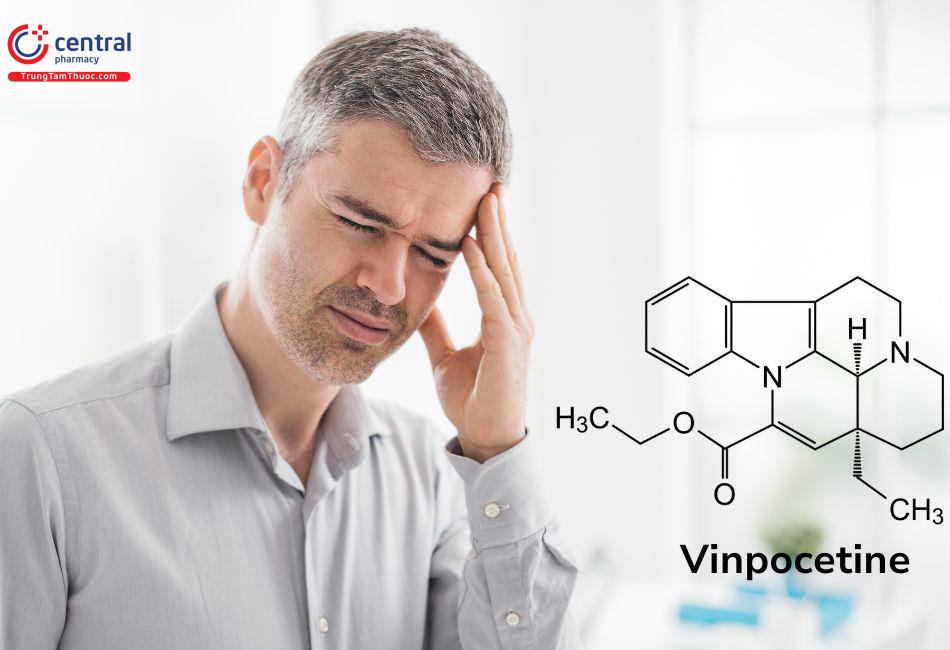 Vinpocetine giảm nhanh rối loạn tuần hoàn