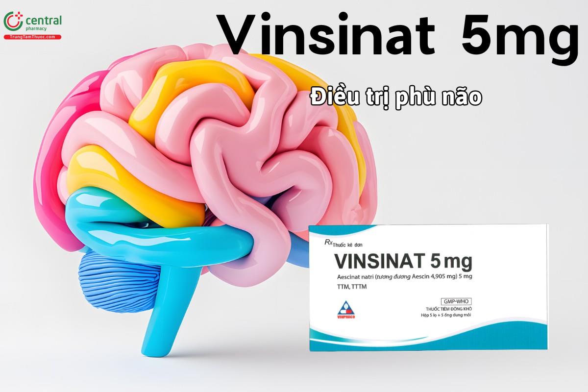Thuốc Vinsinat 5mg điều trị phù não