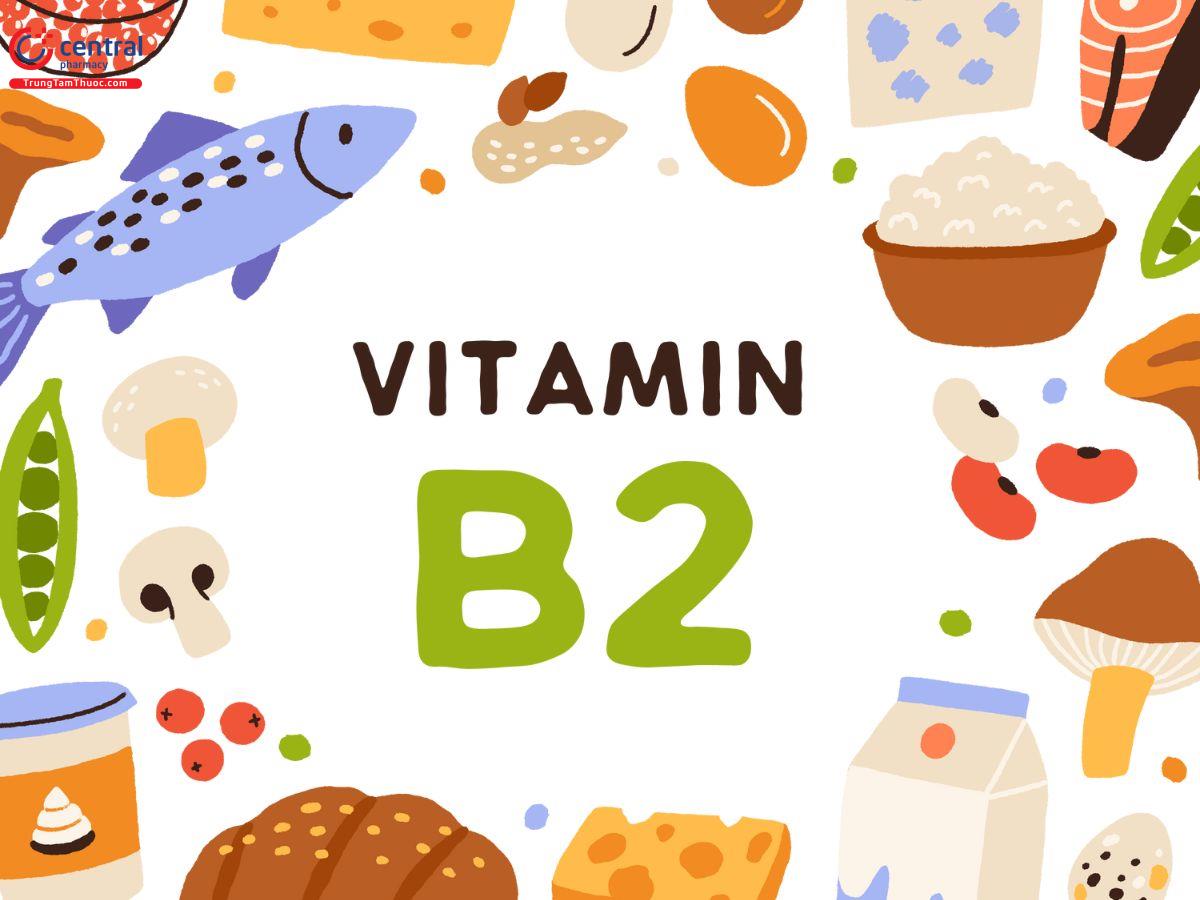 RIBOFLAVIN (Vitamin B2) 