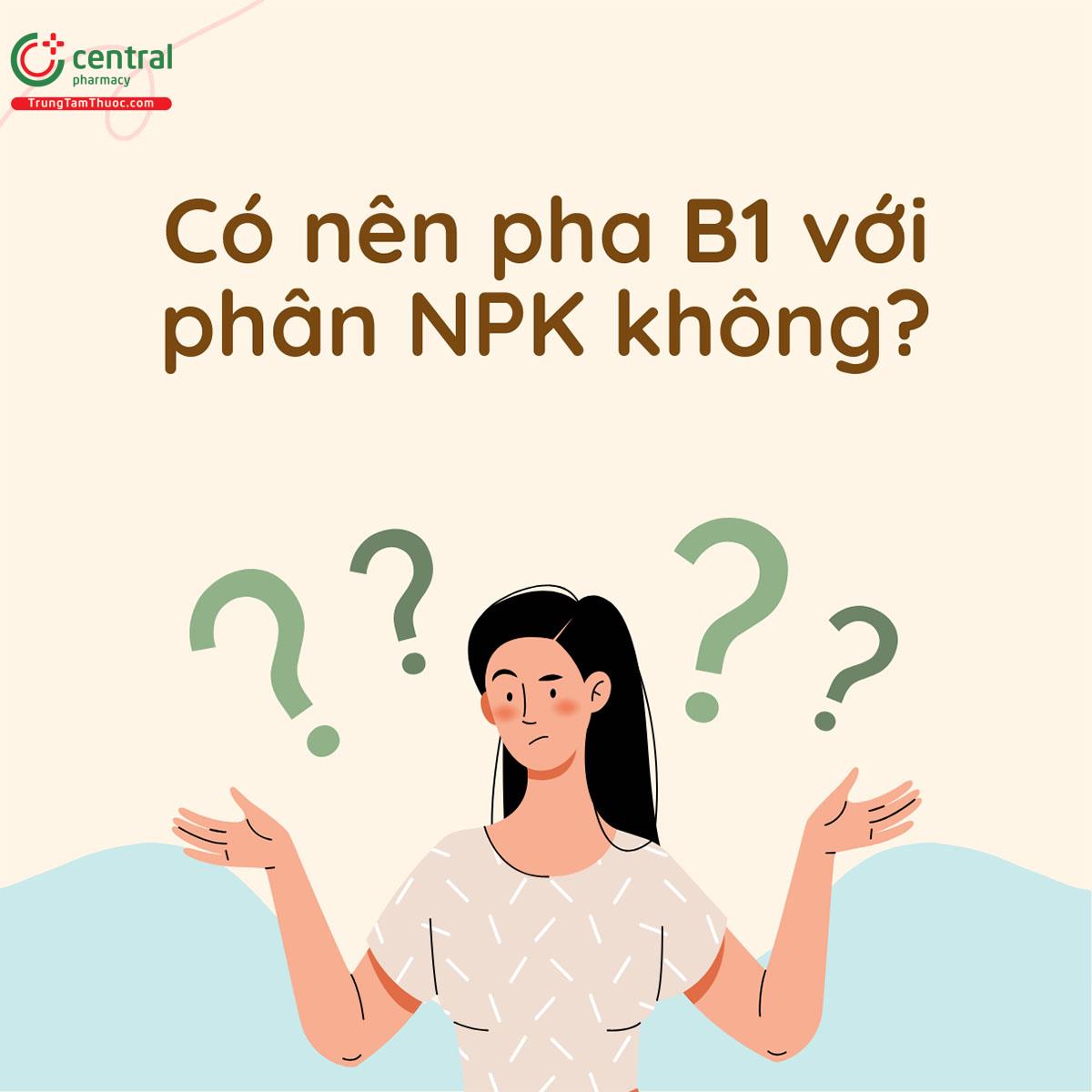 Có nên pha B1 với phân NPK không?