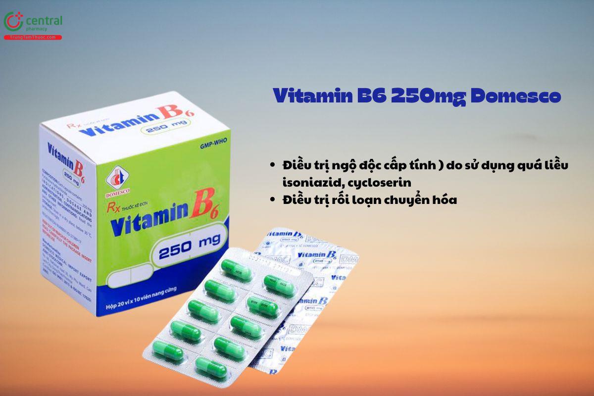 Thuốc Vitamin B6 250mg Domesco điều trị rối loạn chuyển hóa