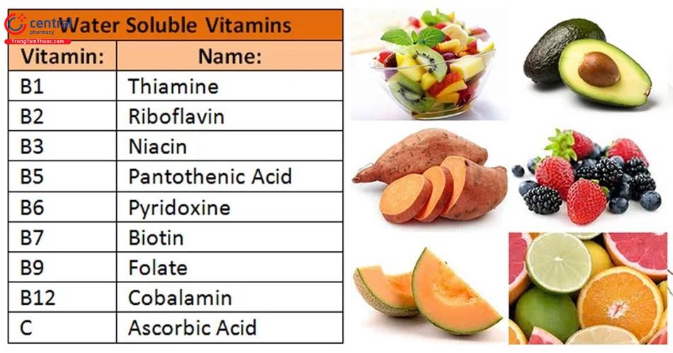 Các loại vitamin tan trong nước