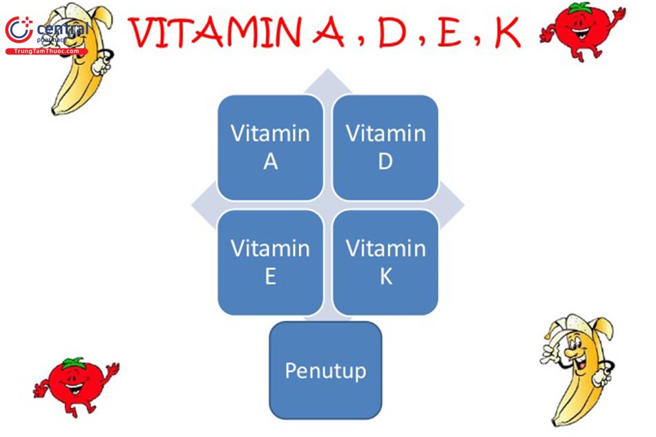 Nguồn gốc tự nhiên và tác dụng của vitamin A, D, E, K