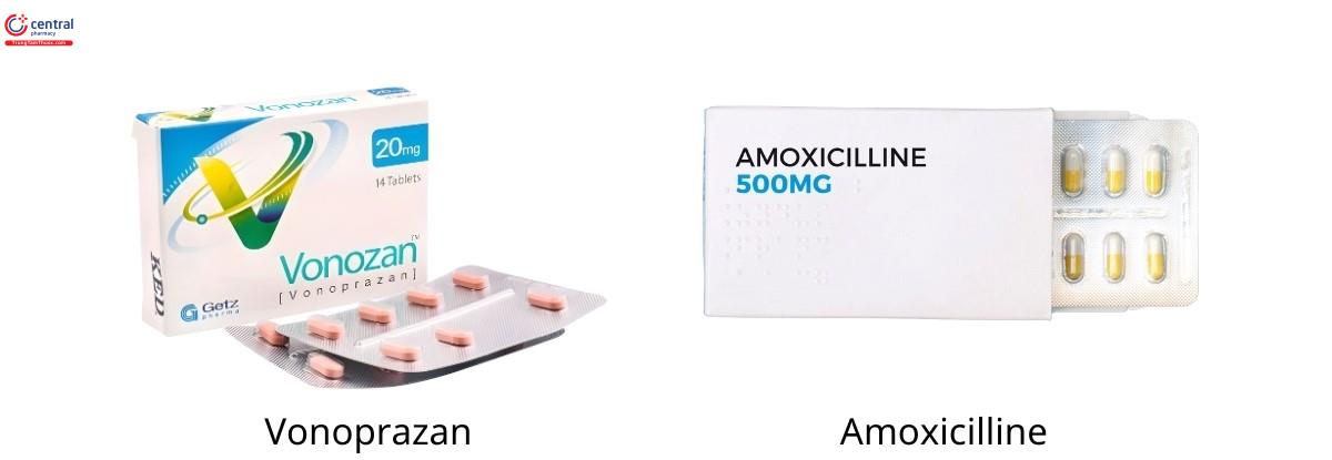 Phác đồ kép Vonoprazan-Amoxicillin có thể là điều trị lí tưởng trong tương lai