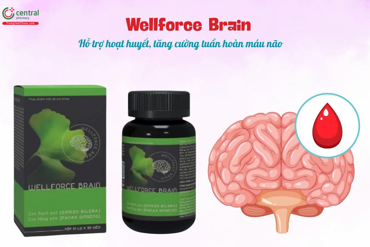 Wellforce Brain giúp hoạt huyết, hỗ trợ tăng tuần hoàn máu não