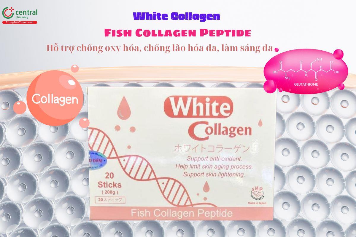 White Collagen Fish Collagen Peptide hỗ trợ làm đẹp da, chống oxy hóa