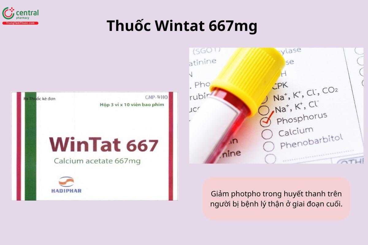  Thuốc Wintat 667