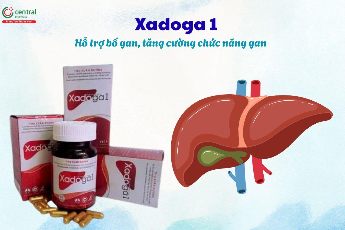 Xadoga 1 giúp bảo vệ gan, thải độc gan, tăng cường chức năng gan