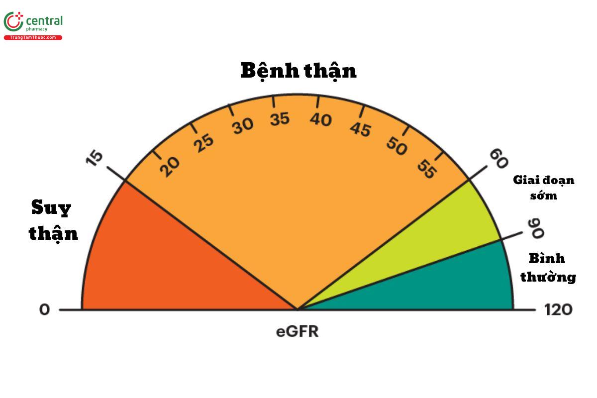 Giá trị độ lọc cầu thận ước tính (eGFR)