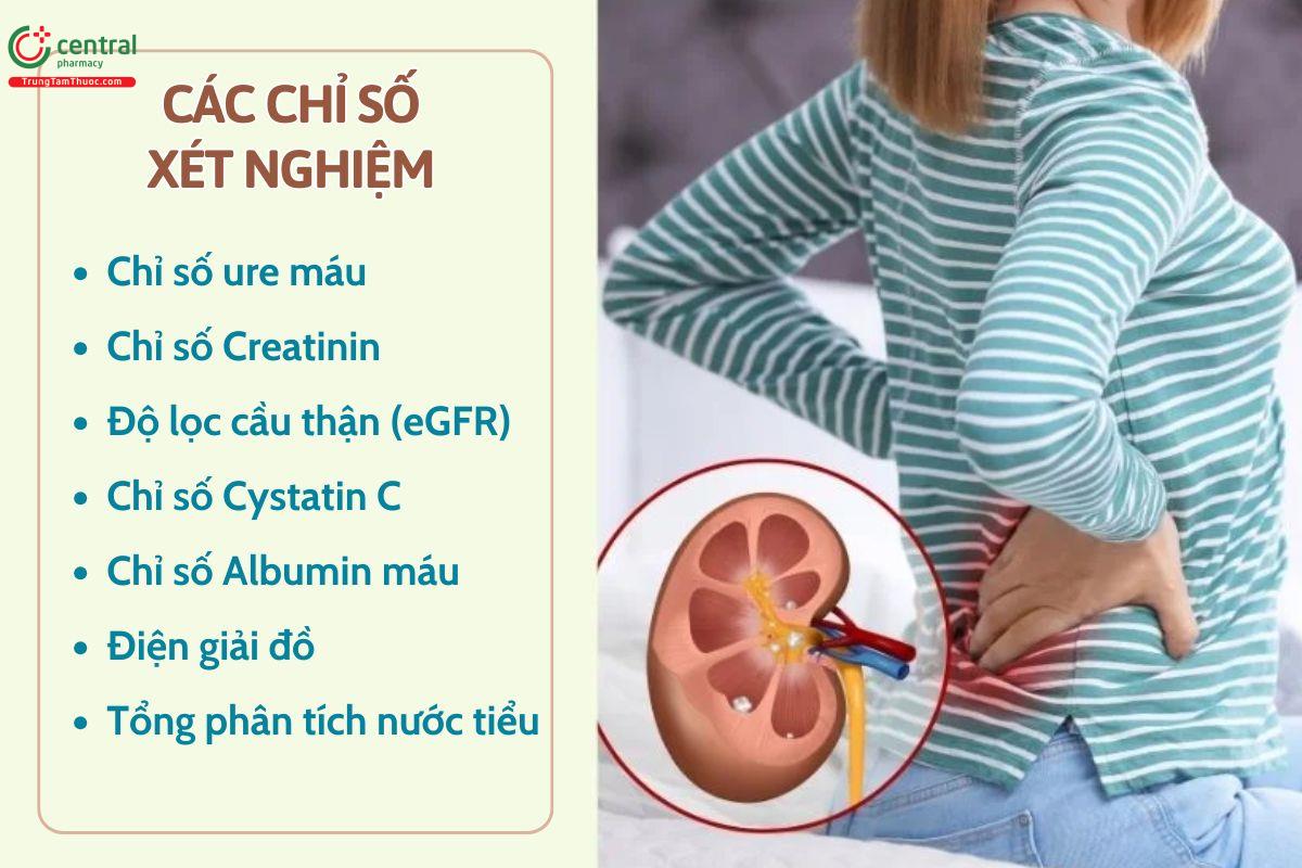 Các chỉ số xét nghiệm chức năng thận