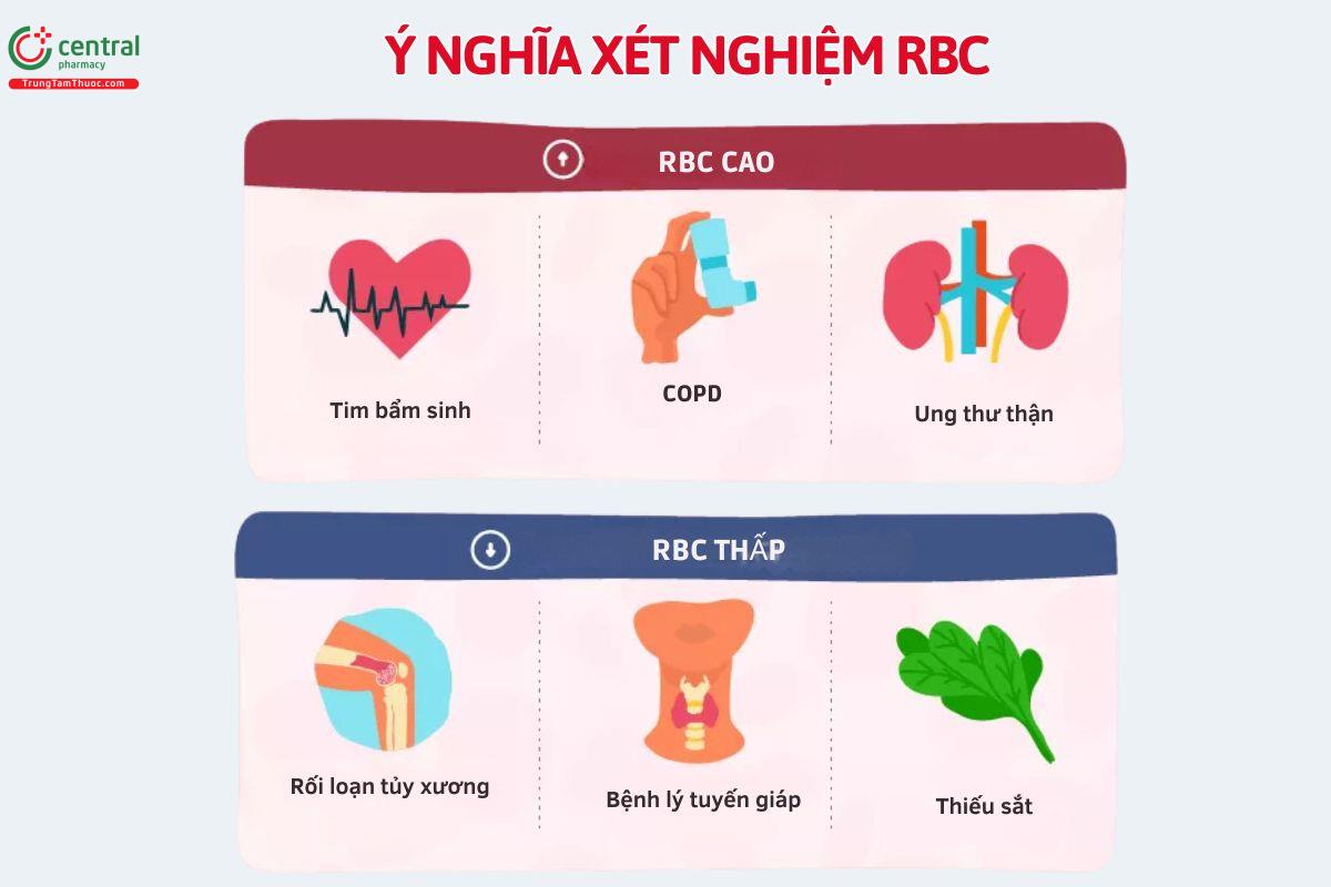 Số lượng hồng cầu - RBC