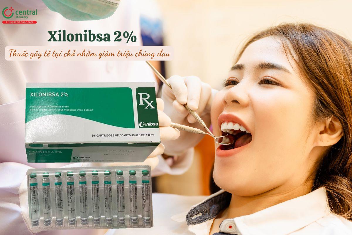Thuốc gây tê tại chỗ Xilonibsa 2% dùng trong nha khoa, đặt nội soi
