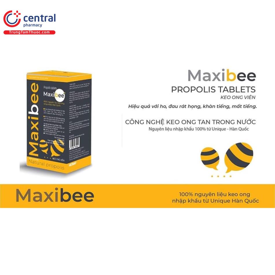 Hình 1: Thành phần chính của sản phẩm Xịt họng keo ong Maxibee