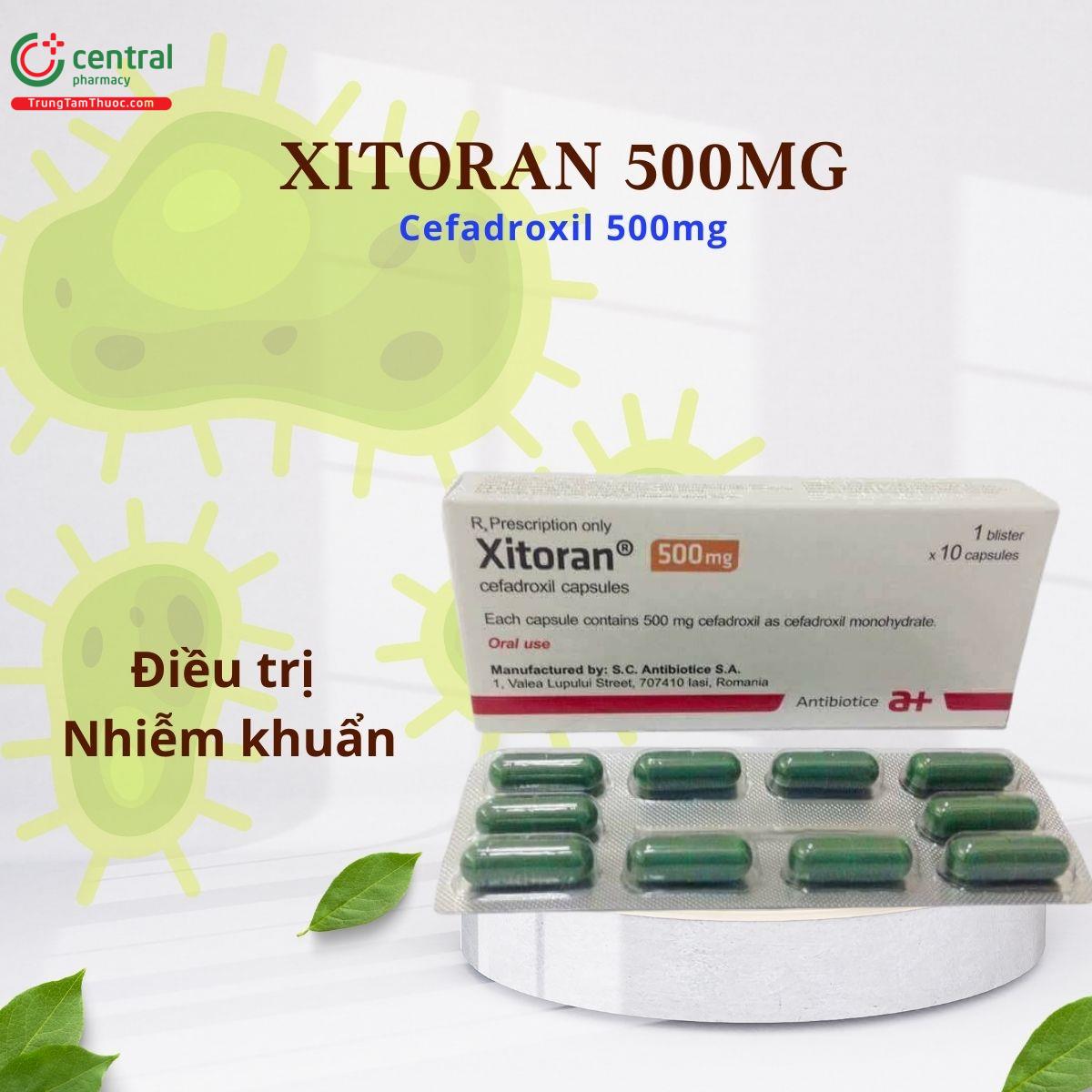 Thuốc Xitoran 500mg điều trị nhiễm khuẩn do vi khuẩn nhạy cảm với Cefadroxil