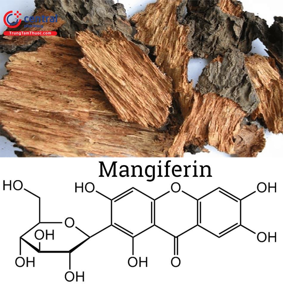Mangiferin - Thành phần chính trong vỏ thân và lá Xoài