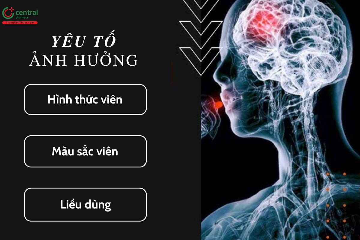 Yếu tố ảnh hưởng đến hiệu quả của giả dược