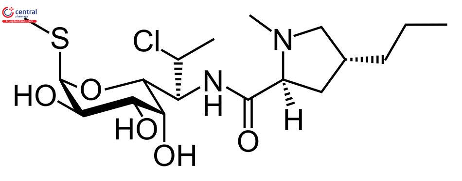 Cấu trúc hoá học của kháng sinh Clindamycin