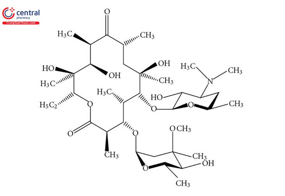 Cấu trúc hoá học kháng sinh Erythromycin