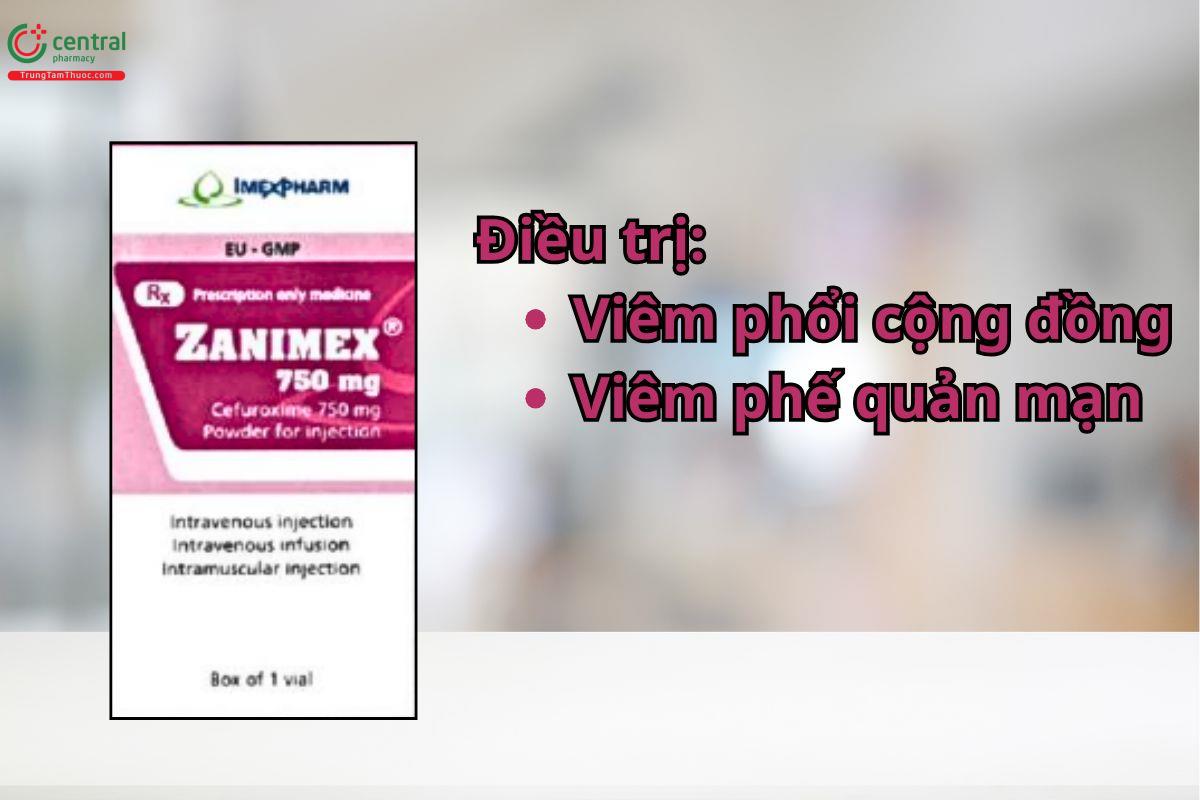 Thuốc Zanimex 750mg dùng điều trị viêm phổi, viêm phế quản cấp và mạn