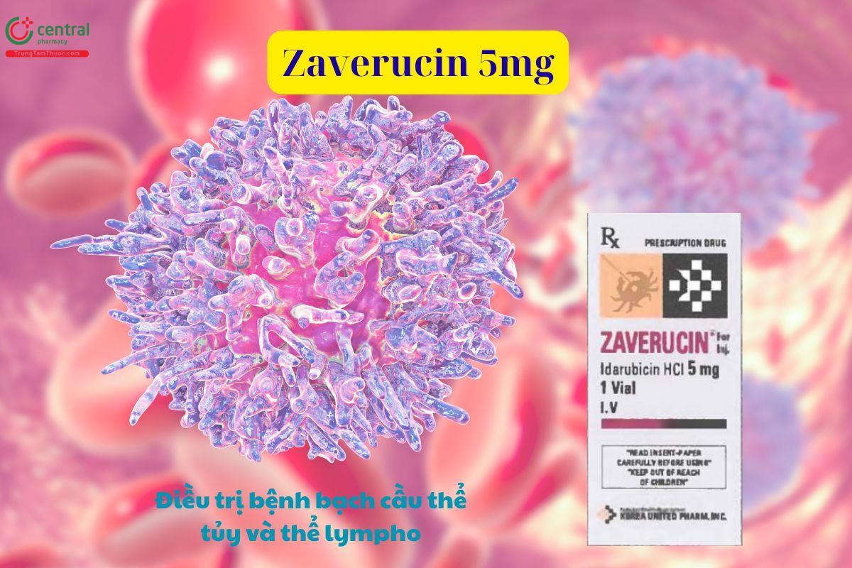 Thuốc Zaverucin 5mg điều trị bệnh bạch cầu thể tủy và thể lympho