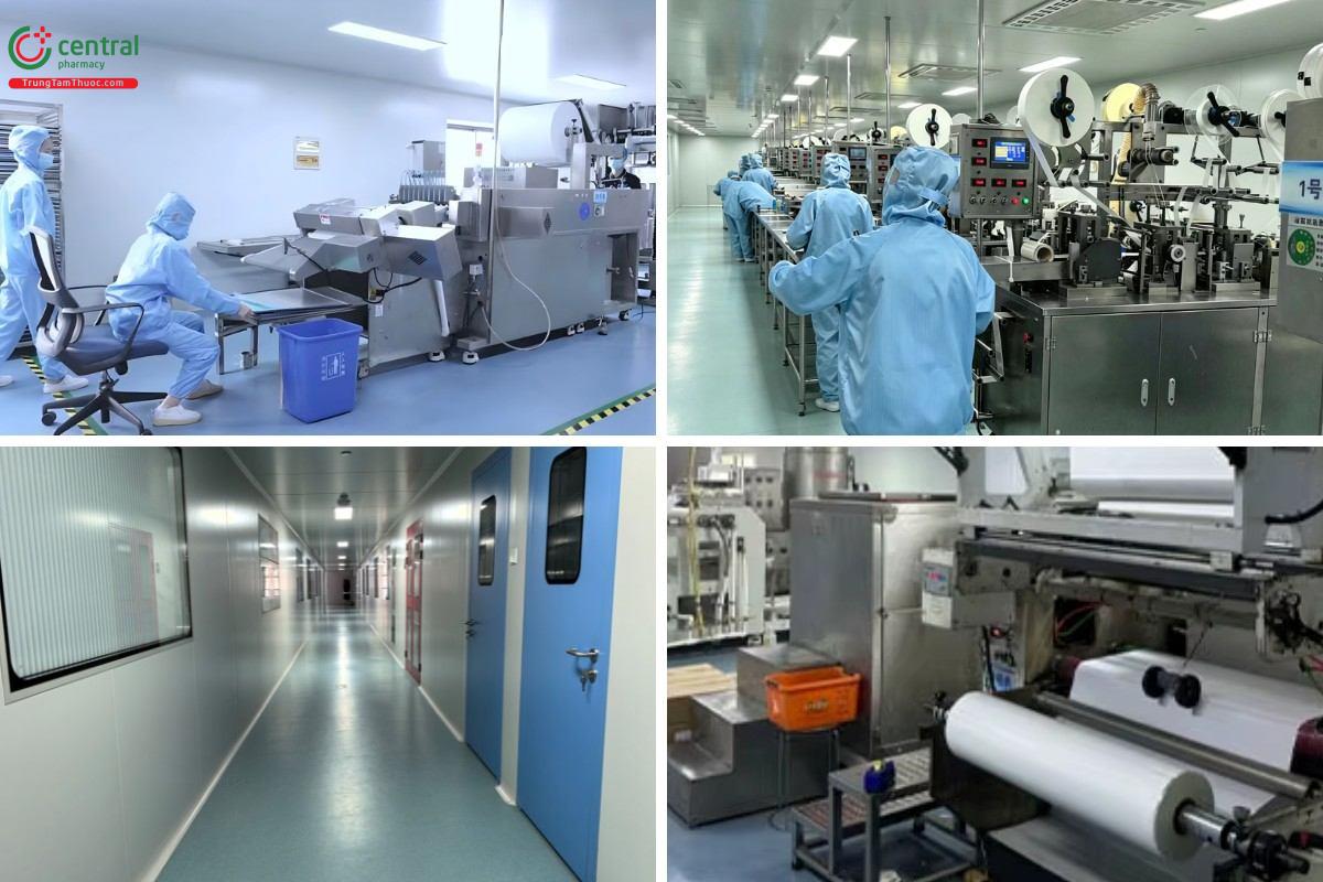 Cơ sở vật chất tại nhà máy của Zhejiang Huikang Medicinal Articles Co., Ltd