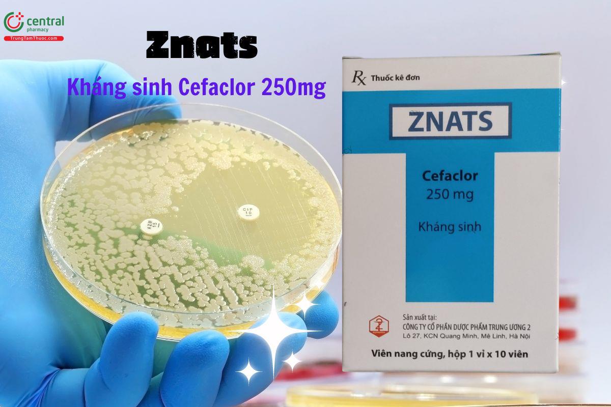 Thuốc Znats 250mg điều trị nhiễm khuẩn hô hấp, tiết niệu, mô mềm