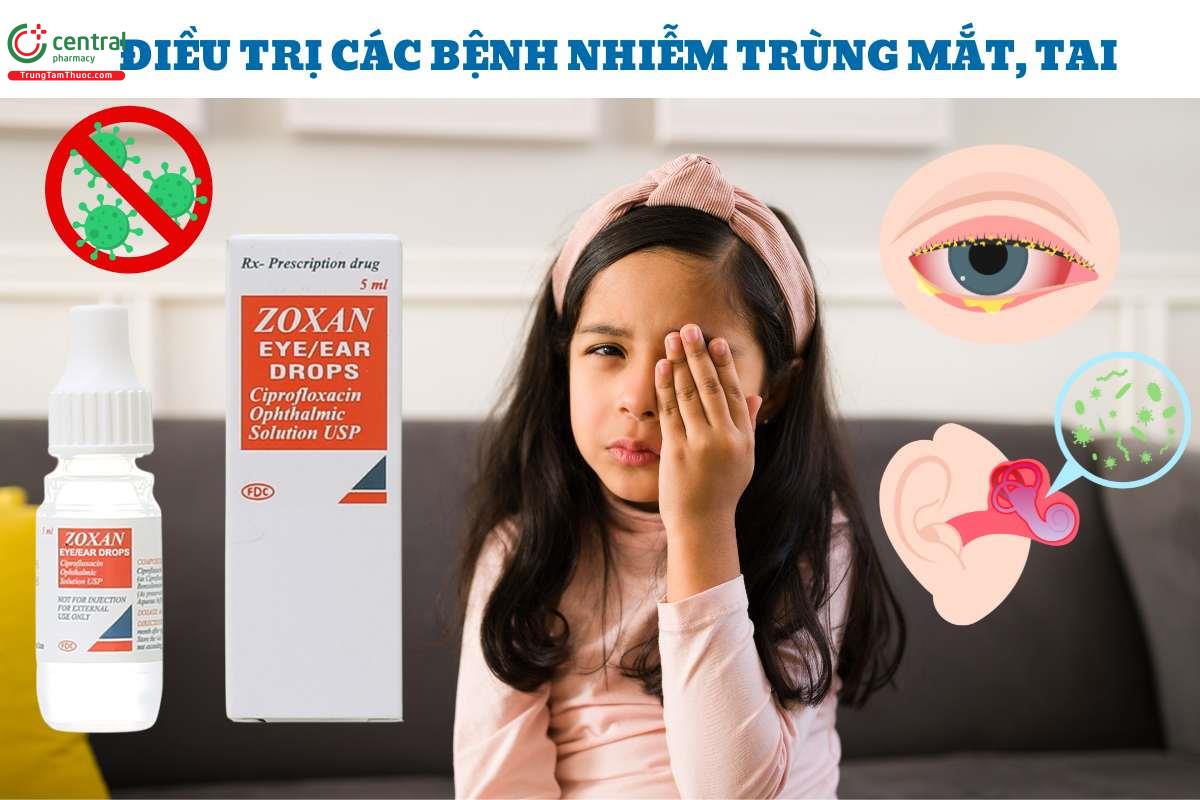 Chỉ định điều trị của Zoxan Eye/Ear Drops