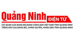 Tương lai của nhà thuốc trực tuyến và mô hình bền vững Trung tâm thuốc Central Pharmacy