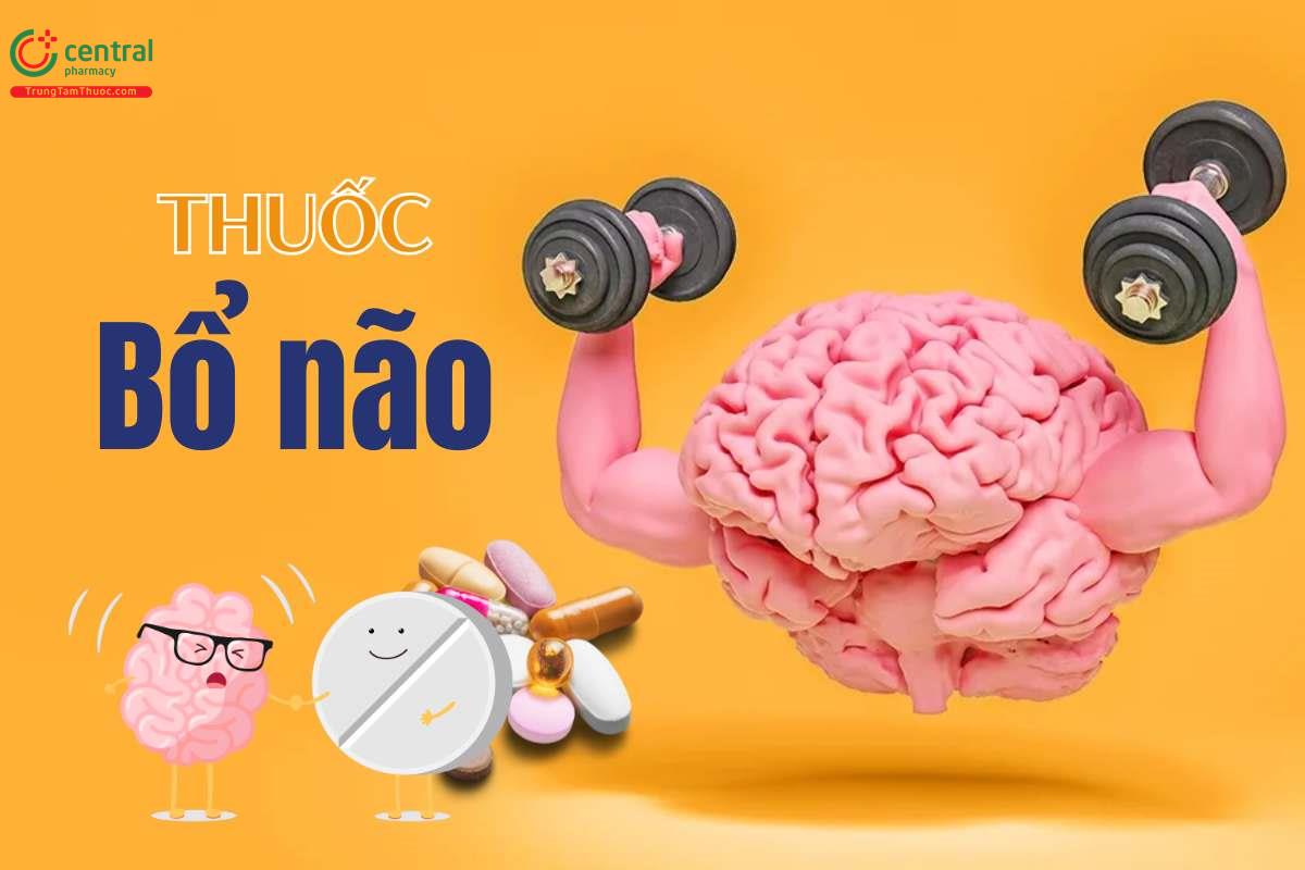10+ thuốc bổ não, tăng cường trí nhớ được bác sĩ khuyên dùng