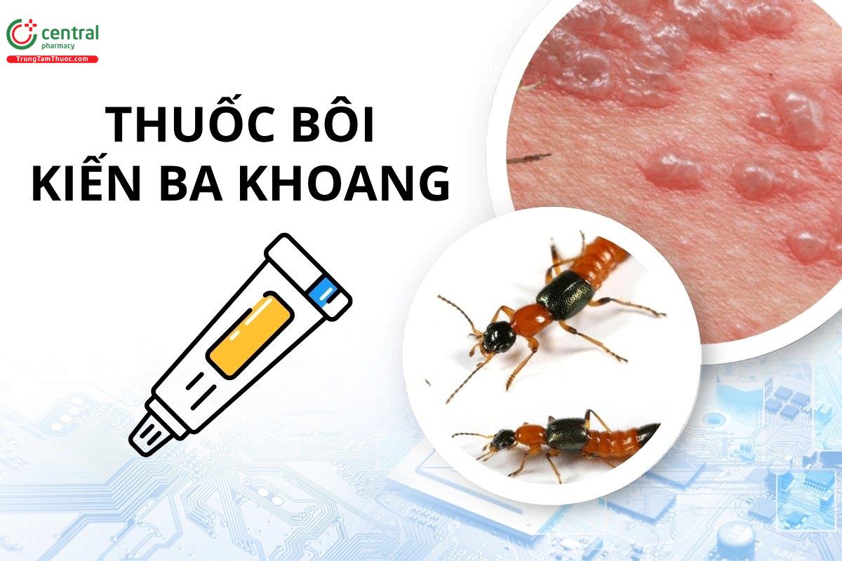 3 nhóm thuốc bôi kiến ba khoang đốt cực nhạy được bác sĩ khuyên dùng