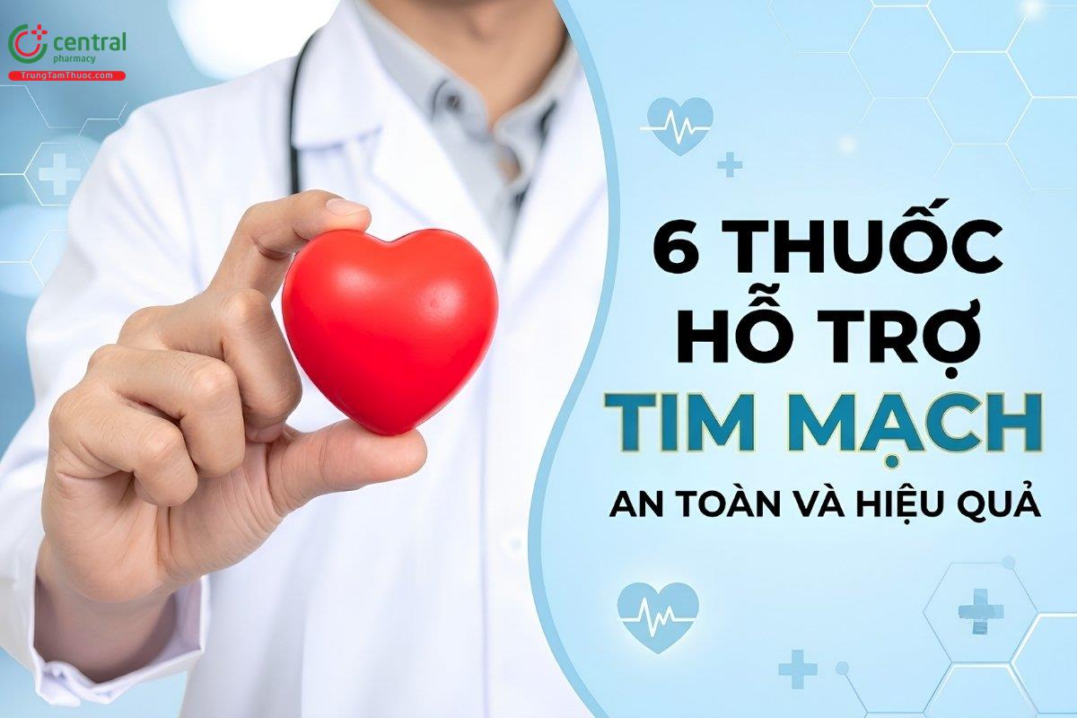 6 thuốc hỗ trợ tim mạch an toàn và hiệu quả