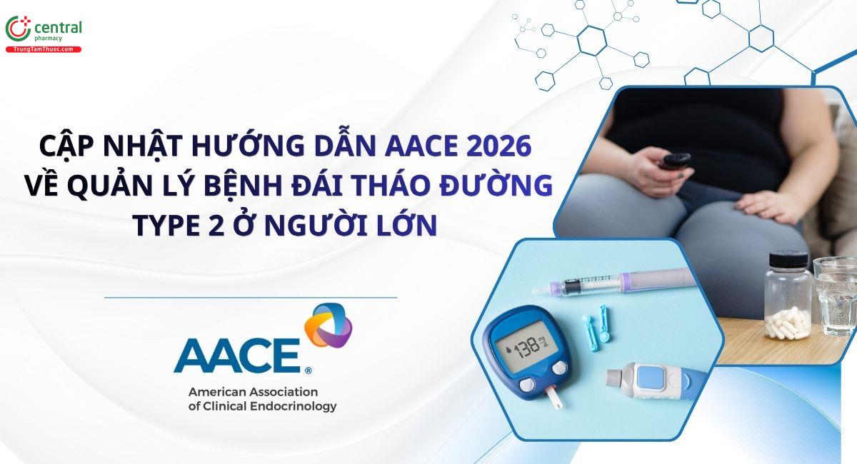Cập nhật hướng dẫn AACE 2026 về quản lý bệnh đái tháo đường type 2 ở người lớn