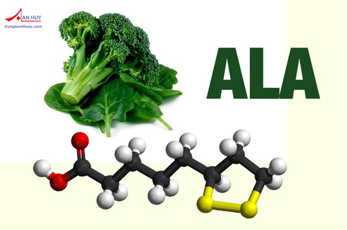 Alpha lipoic acid: Tác dụng, liều dùng, tương tác và tác dụng phụ