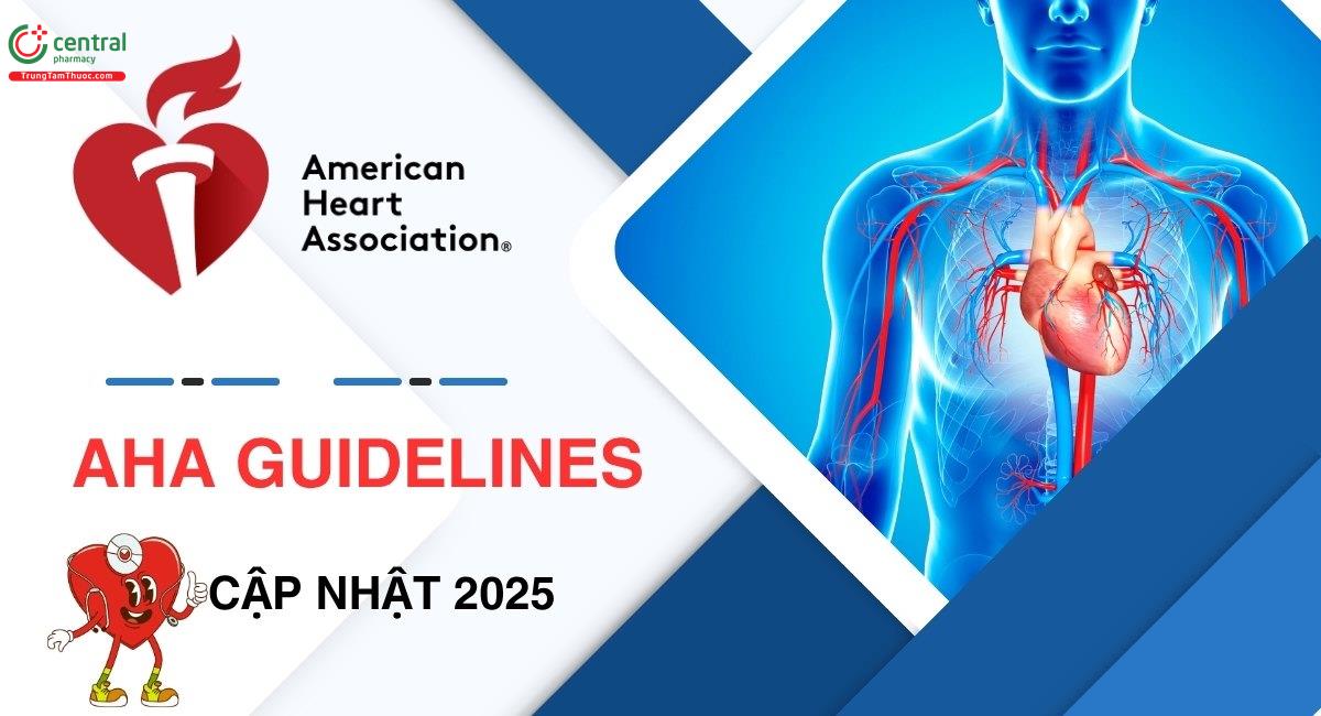 AHA Guidelines 2025: Cập nhật mới về hồi sức tim phổi (CPR) và cấp cứu tim mạch (ECC)