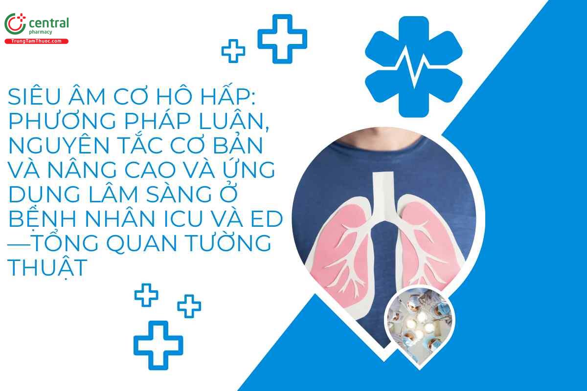 Siêu âm cơ hô hấp: phương pháp luận, nguyên tắc cơ bản và nâng cao và ứng dụng lâm sàng ở bệnh nhân ICU và ED—tổng quan tường thuật