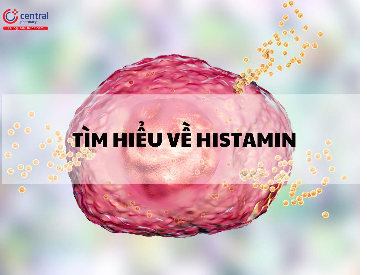 Tìm hiểu về Histamin: sinh tổng hợp, chuyển hóa và tác dụng sinh học