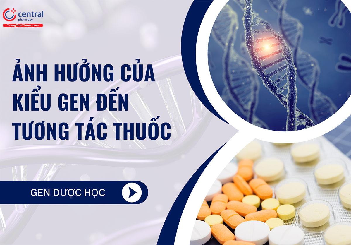 Ảnh hưởng của kiểu gen đến tương tác thuốc có ý nghĩa lớn trên lâm sàng