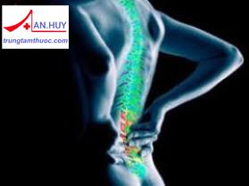 NGUYÊN NHÂN, CHẨN ĐOÁN VÀ ĐIỀU TRỊ TÌNH TRẠNG ĐAU THẮT LƯNG
